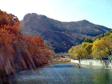 澳门今晚一肖必中特，丰田花冠召回